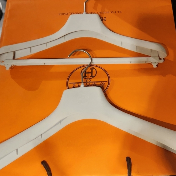 Hermes Huge Wardrobe bags, hangers, Bag ,Jacket ,Dress , Deceased body?? - Picture 3 of 4